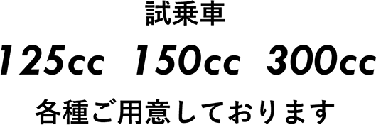 試乗車 125cc 150cc 300cc
各種ご用意しております